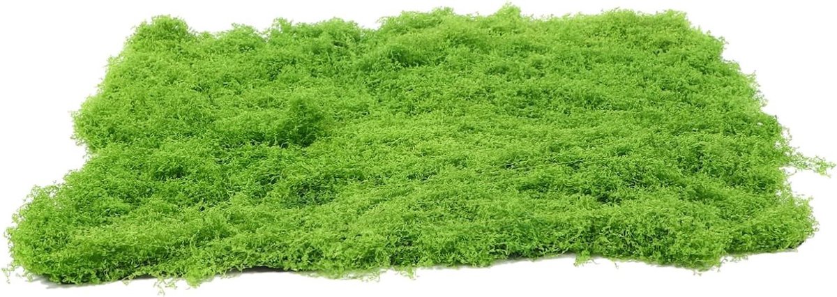 Kunstmatig Mos Grasmat - Nep Plant Realistisch - Tuindecoratie - EPE Schuim Materiaal - 50 x 50 x 2 cm