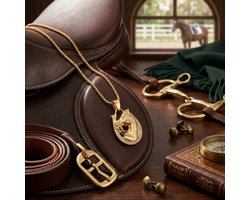 Goudkleurige ketting met hoefijzer en paardenhoofd hanger – ketting voor heren en dames – dierenhanger – met strassstenen – gelukssymbool