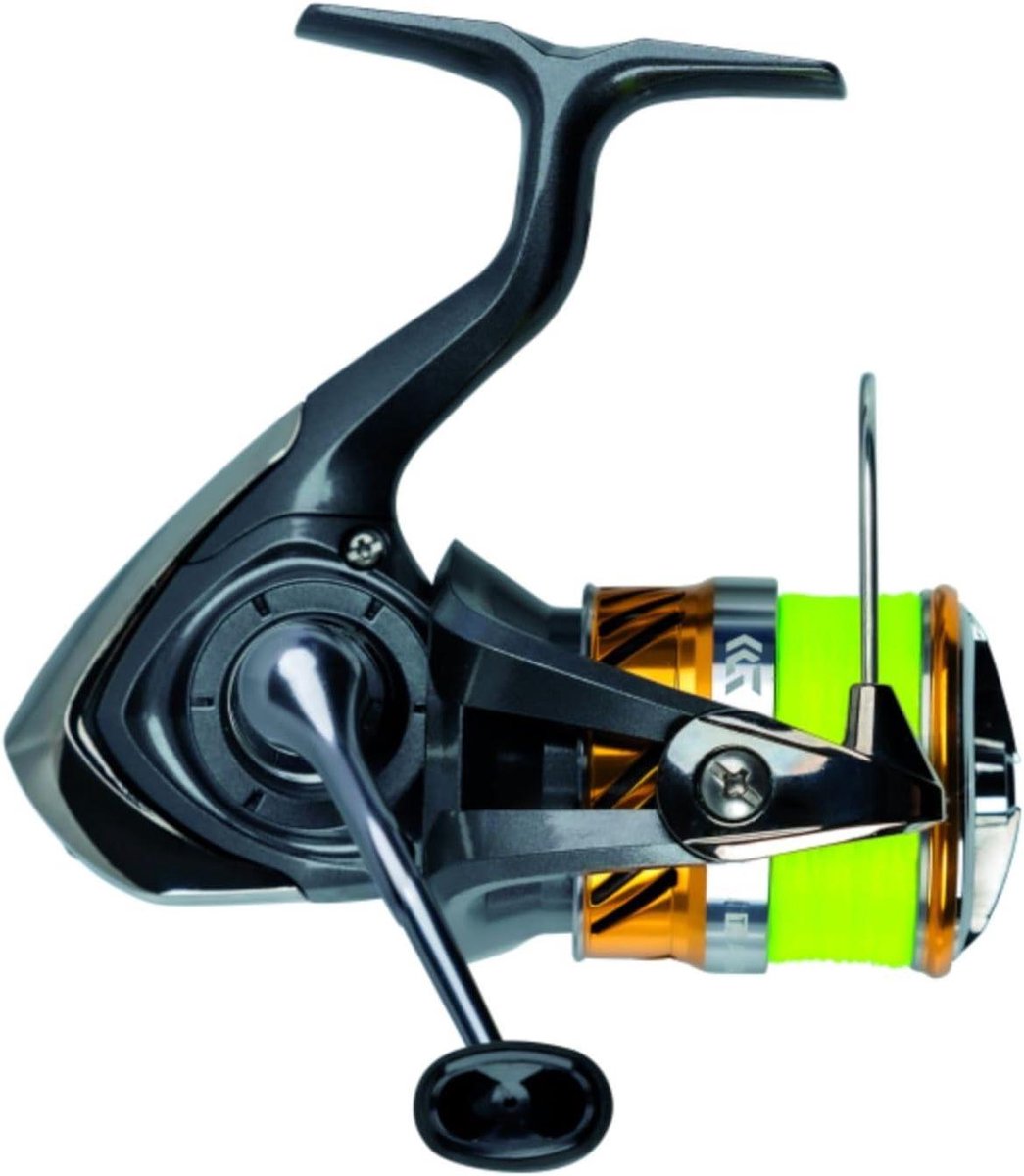 Spinning Vishengel - Haspel Vismolen - Vissen Hengelen - LT Licht en Tough - 4000-C - Meerkleurig