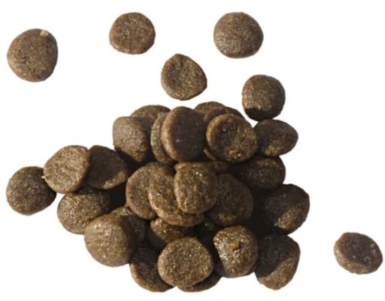 Een hoopje bruine, ronde pellets voor knaagdieren.