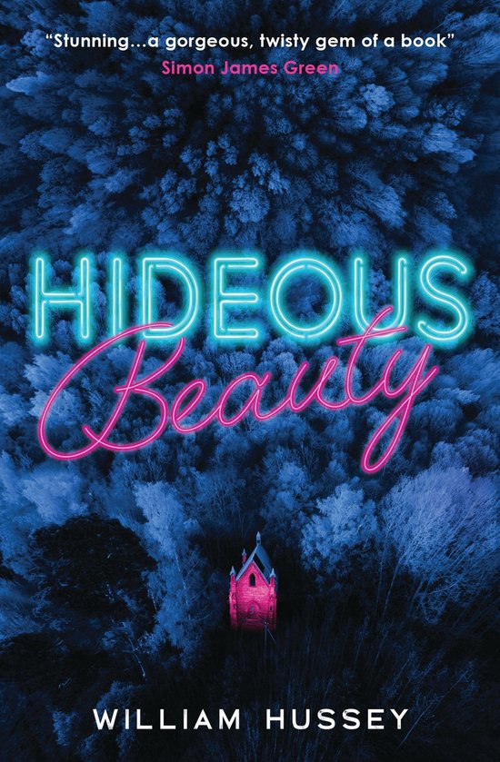 Hideous Beauty - cover