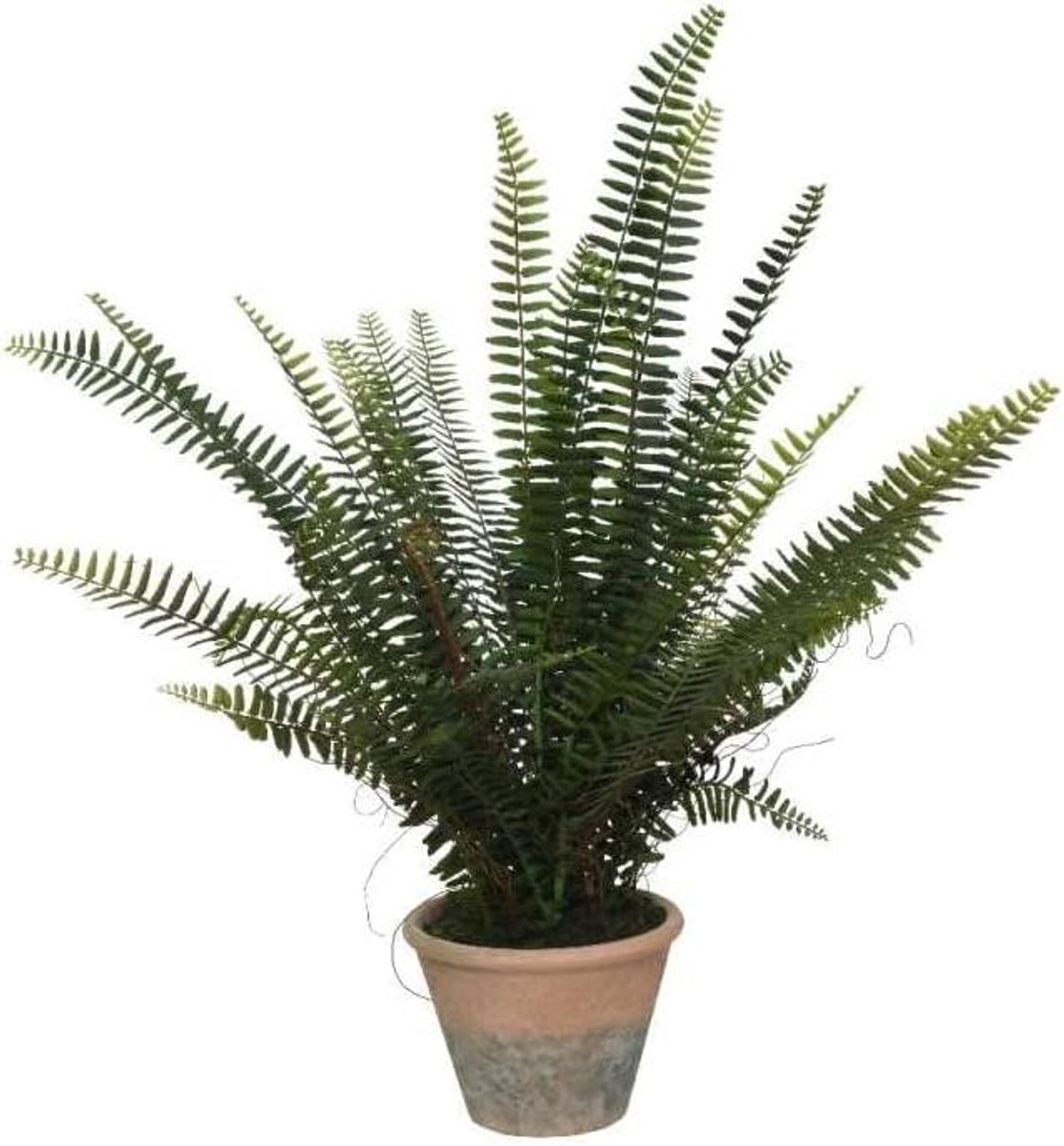 Groene Varen Plant - Kunstplant - Woondecoratie - Onderhoudsvrij - 60 cm - Groen