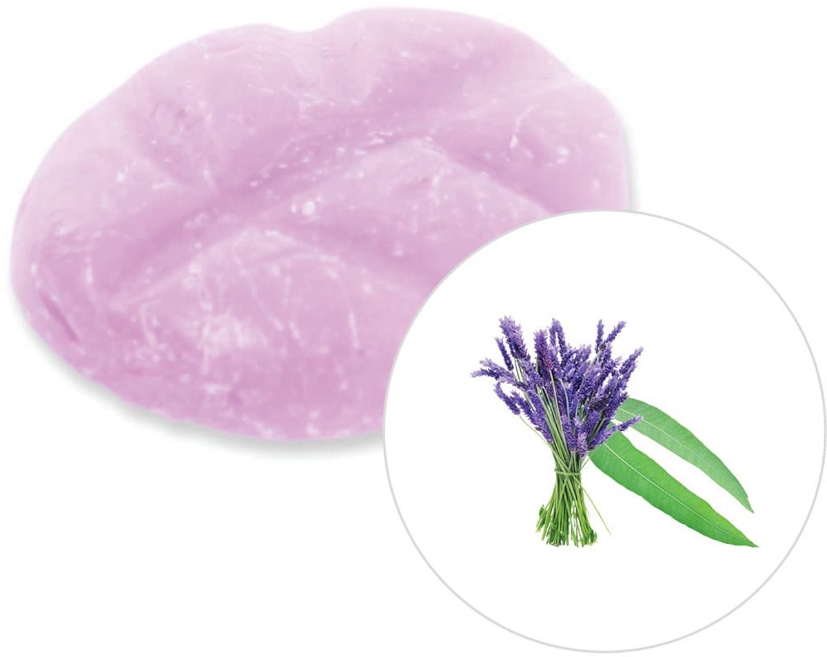 Scentchips® Eucalyptus & Lavendel - Geurblokjes - Huisparfum - Geurchips - Waxmelts - Gesc