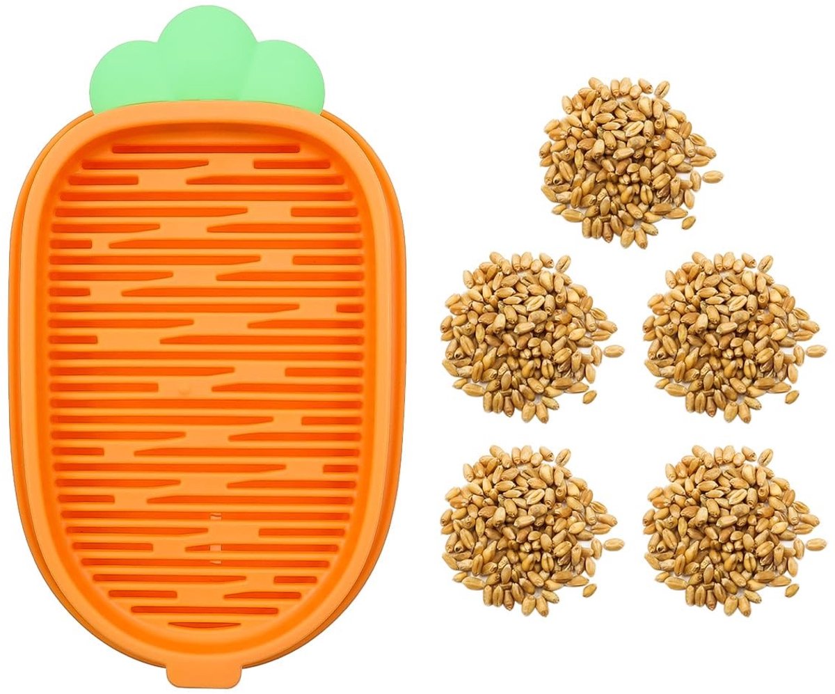Dailygoods- Kattengras Tray - 2 Stuks - Hydroponische Kweekbak - Carrot Vorm - Decoratie voor Huisdieren - Afmetingen 19 x 11,7 x 3,2 cm - Plantenbak
