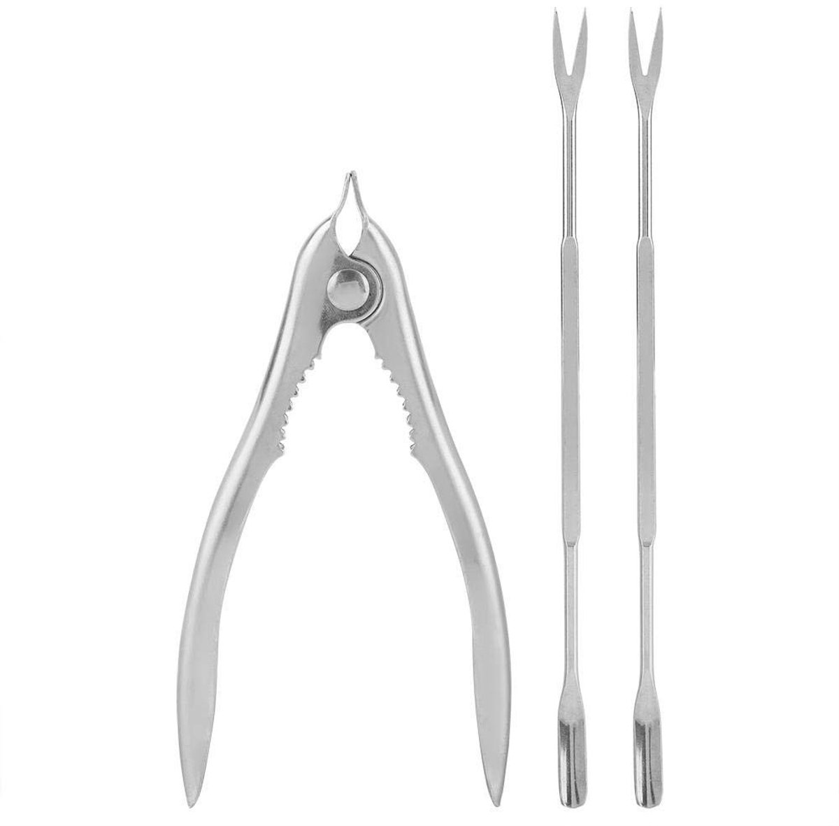 Dailygoods- Zeevruchtengereedschapset Roestvrij Staal - Multifunctionele Notenkraker - Kreeftkraker - Zeevruchtenvorken - Lichtgewicht - Eenvoudige Opslag - Zeevruchtenkraker