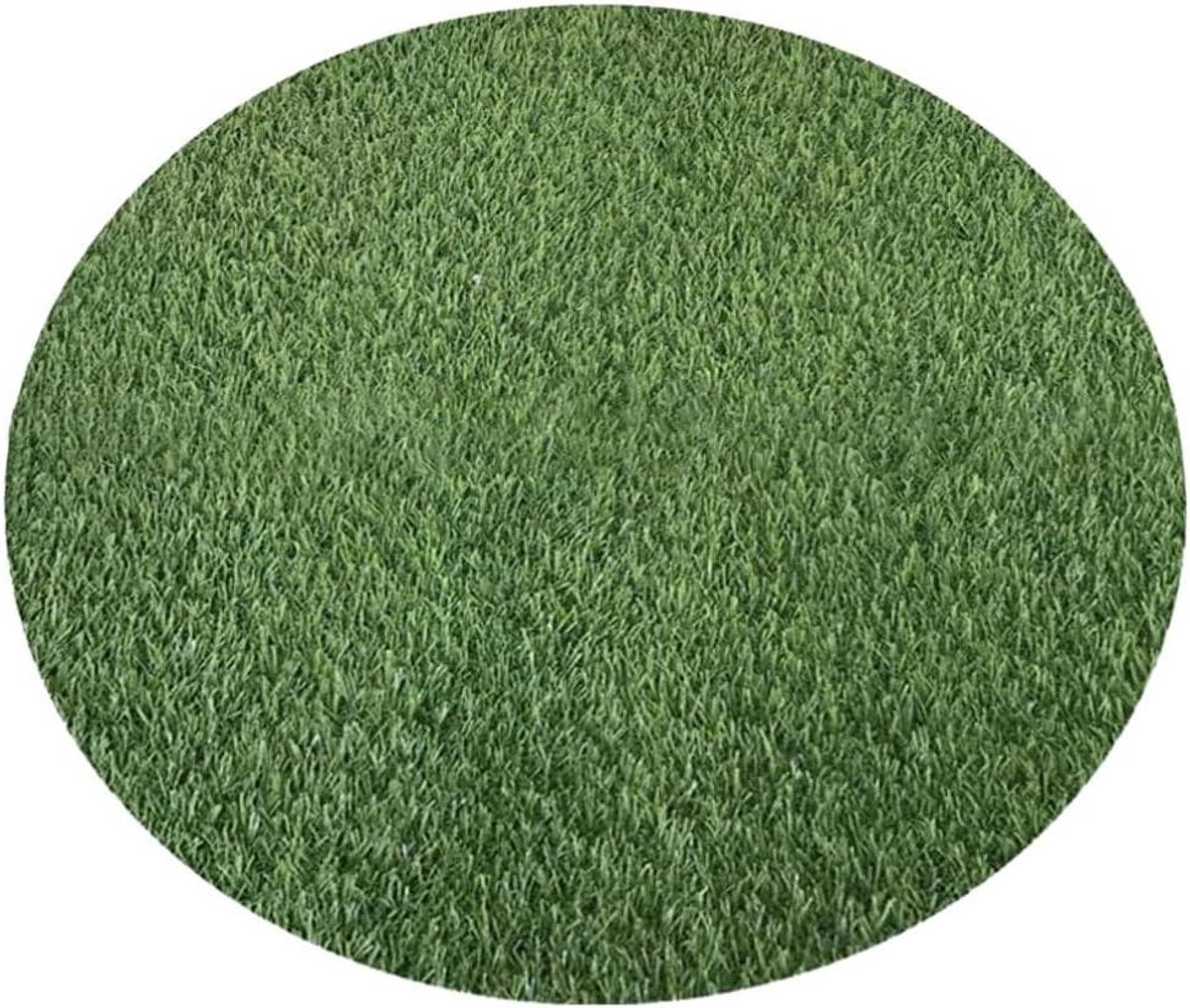 Rond Kunstgras Tapijt - Gazonmat Buiten Binnen - Decoratie Verfraaien - Realistisch Gras Uiterlijk - 60 cm Diameter - Groen