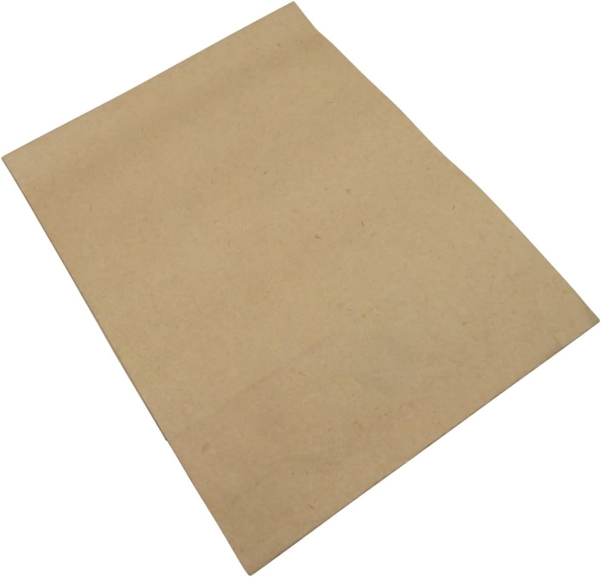 Stofzuigerzakken - Stofzakken - Apparaat Beschermen - Dubbellaags Papier - 10 Stuks - Bruin