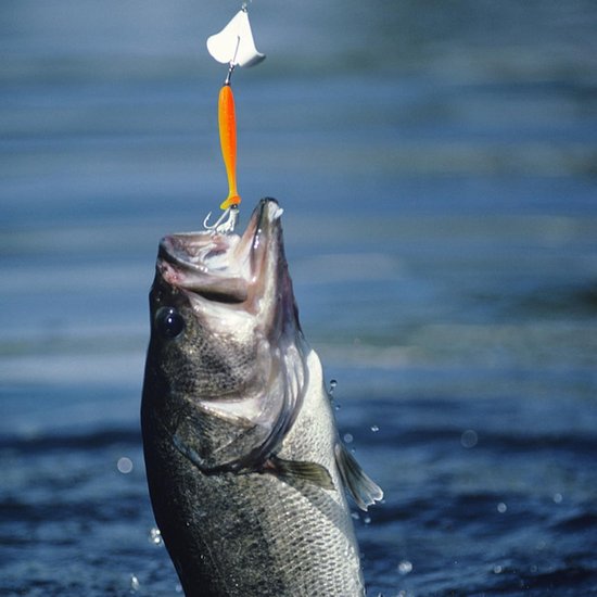 55 pieces with 10 jig heads, fishing hooks, lures for trout, perch, zander — afbeelding 4