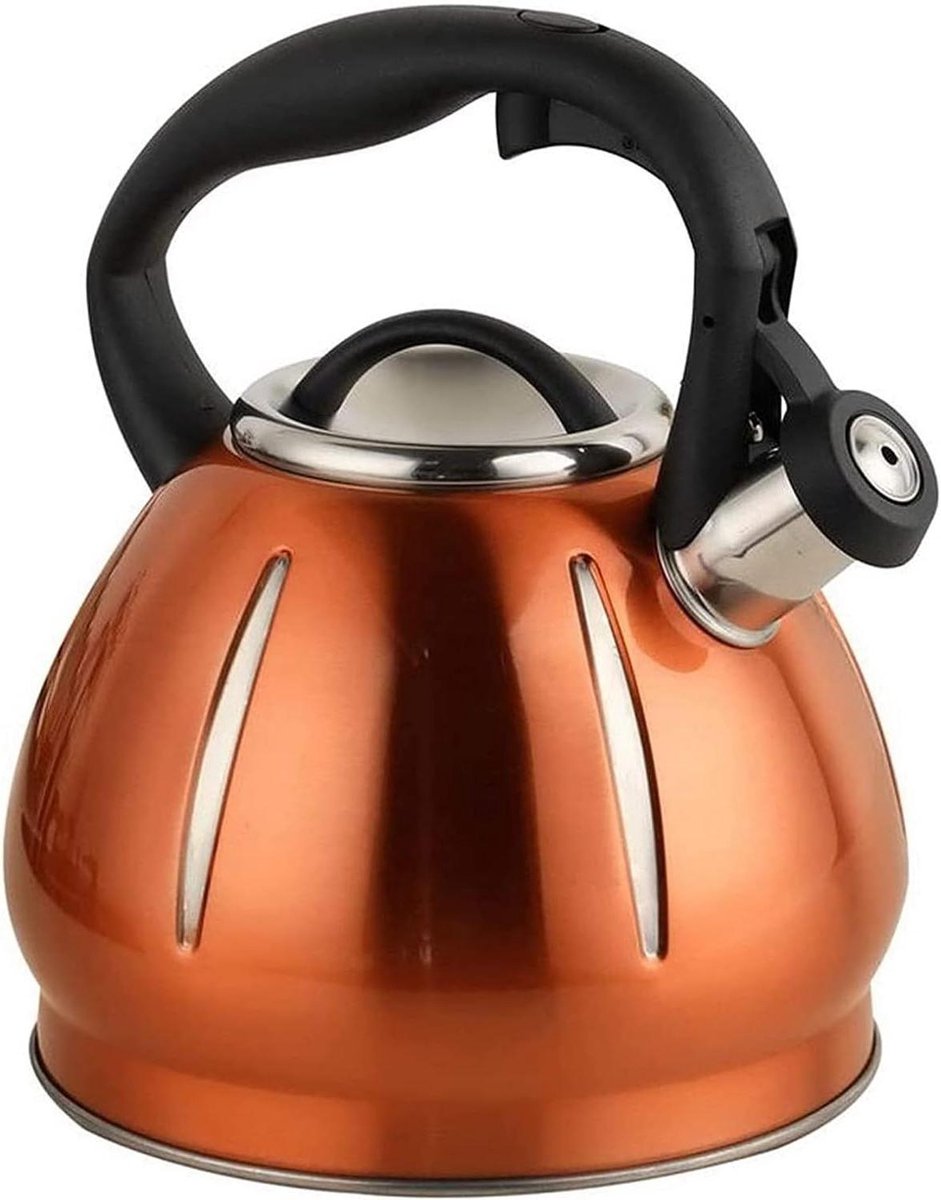 Waterkoker met fluit - Theepot RVS - Water koken - Hittebestendig handvat - 3 Liter - Wit