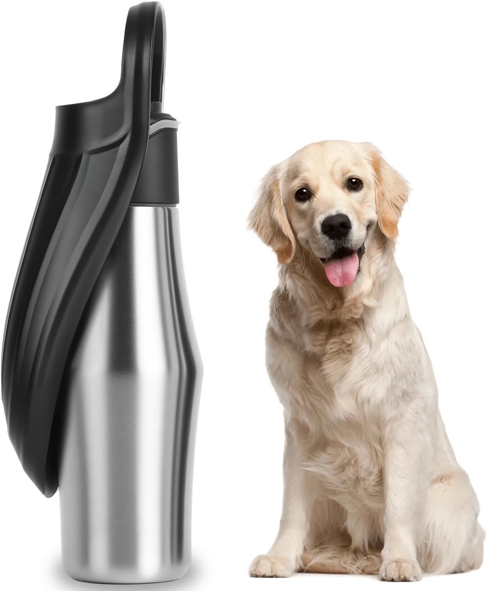 carmdering - Honden Waterfles - Reisfles voor Honden - Drinkfles met Bakje - 750 ml, 304 RVS, BPA-vrij - 12 uur warm, 24 uur koud - Ingebouwde drinkbak, éénknopsbediening - Lekvrij, antislip - Zilver
