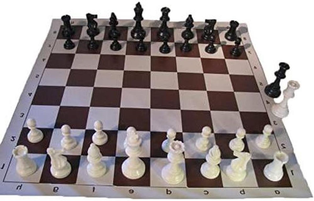 Schaakspel Set - Schaakbord Compleet - Strategie Spel - Plastic Materiaal - 505 mm x 505 mm - Wit
