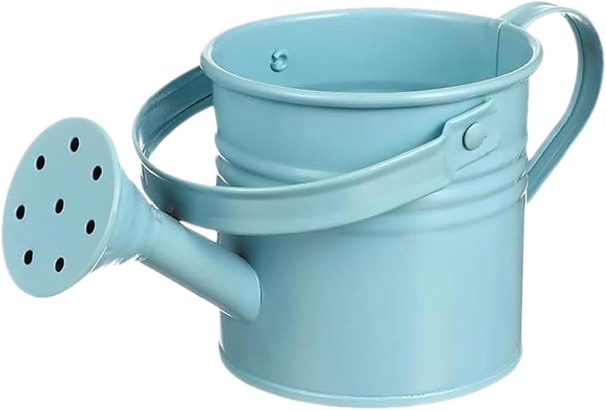 Gieter voor planten,Decoratieve Tuingieter Met Handvat - Gegalvaniseerde ijzeren plantengieter - voor terras, de achtertuin, familie, vrienden, buren, ouderen, tuiniers en kinderen