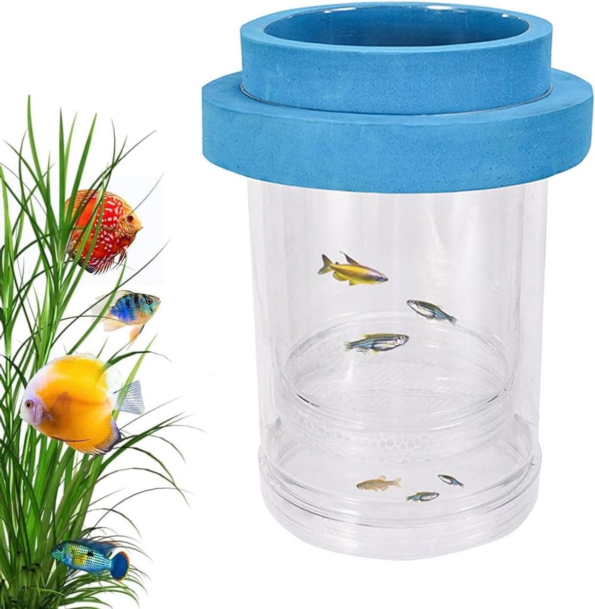 Aquarium Kweekbak - Isolatie Incubator Box - Vis Kweek - Dubbele Compartiment Structuur - Groot - Wit
