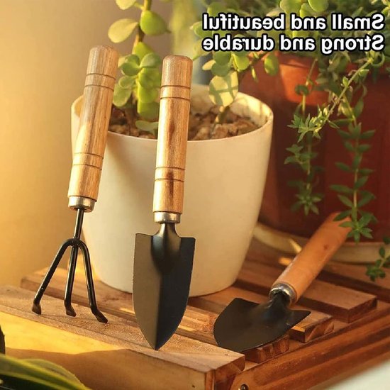 oCreon 3-delige Tuingereedschapsset - Tuinschep met Houten Handvat voor Bonsai & Planten van oCreon — afbeelding 2
