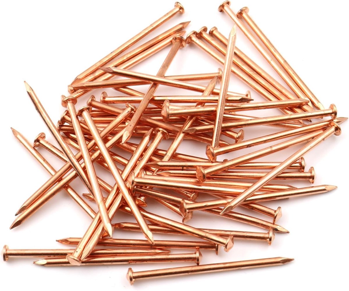 Dailygoods - Dailygoody - ijzeren spijkers - laspenen - robuust en duurzaam - verkoperd - scherpe nagelpunt - ideaal voor houtbewerking en klussen - 50 stuks