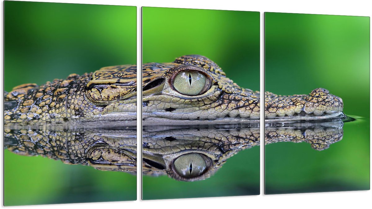 TMK ArtDeko - Beschermplaat voor Kookplaat - 3x30x52 cm - Glas - Veelkleurig