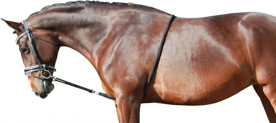 Paardentuig Longeerhulp - Longeren Paard - Paardentraining Ondersteuning - Verstelbaar Ontwerp - Warmbloed Vollbloed - Boeren Paardentuig Longeerhulp - Longeren Paard - Paardentraining Ondersteuning - Verstelbaar Ontwerp - Warmbloed Vollbloed - Boeren