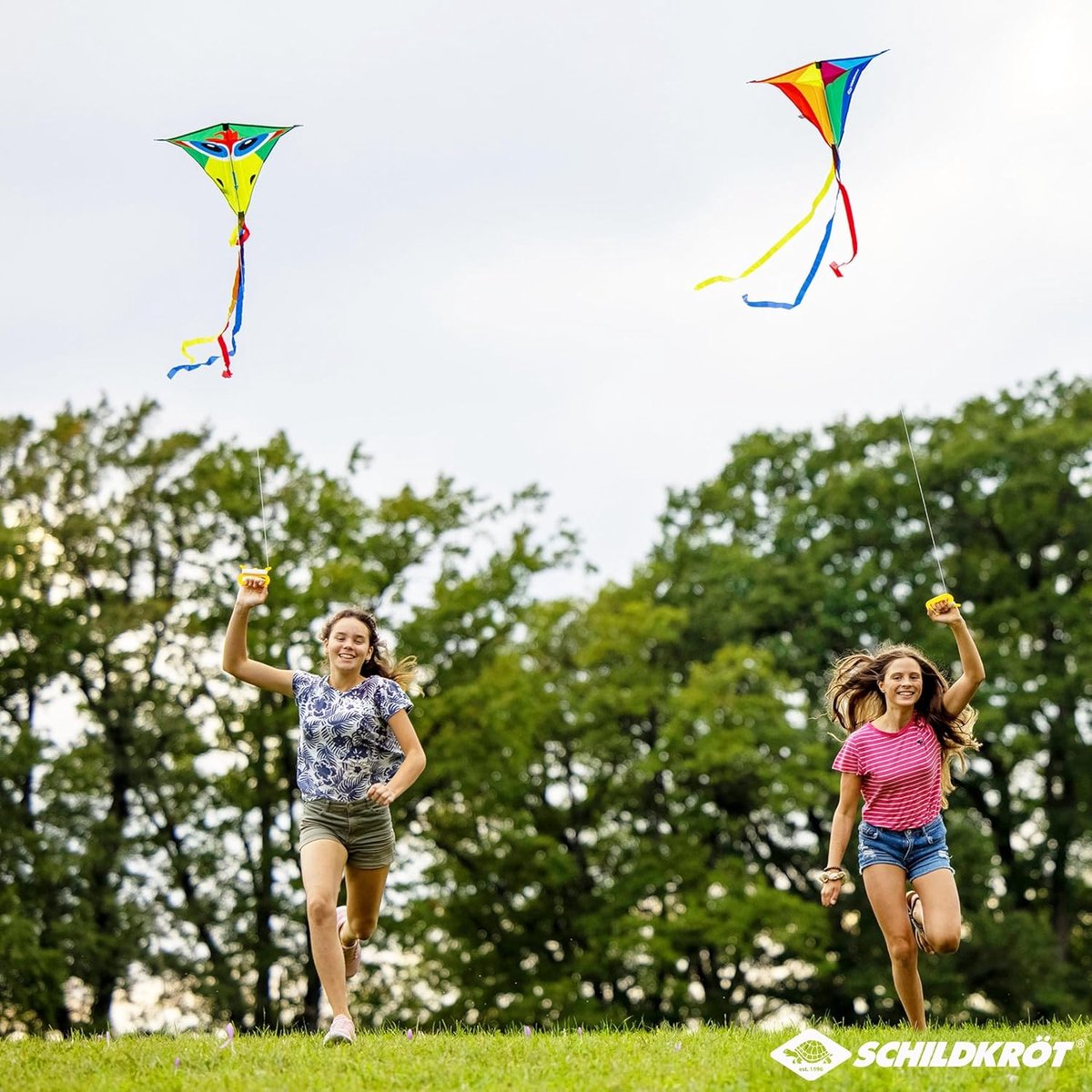 Klassieke Vlieger - Vlieger met Staart - Buiten Spelen - Robuust Ripstop Polyester - 70 cm - Multicolor