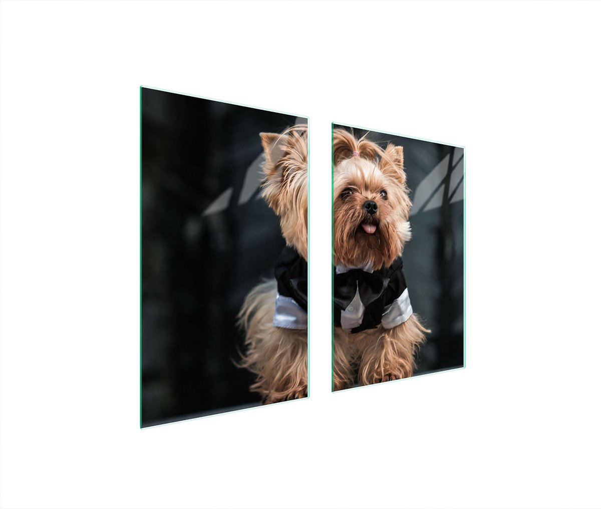 TMK ArtDeko - Snijplank - 65x52 cm - Pies - Multifunctioneel
