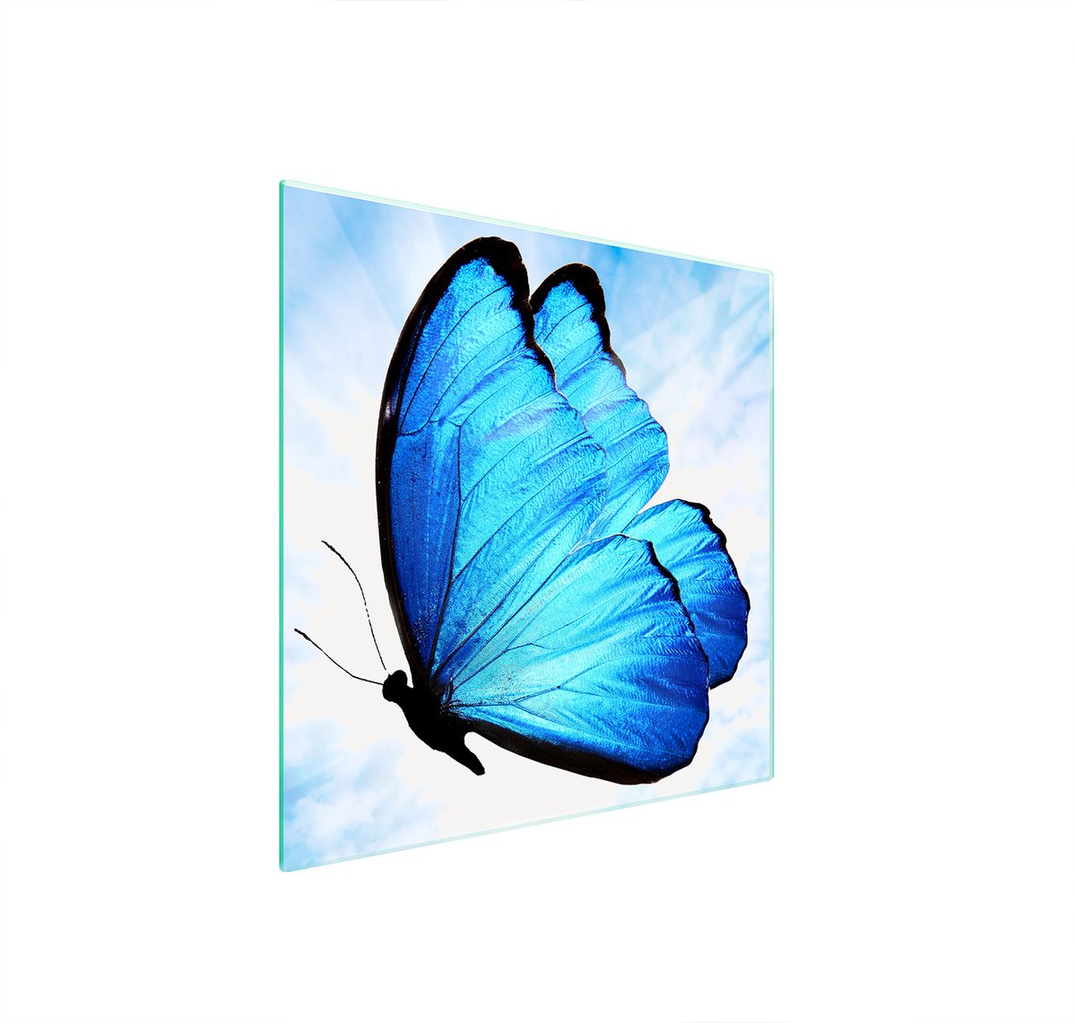 TMK ArtDeko - Beschermplaat van Gehard Glas - 50x52 cm - Antibacterieel - Elegant Design
