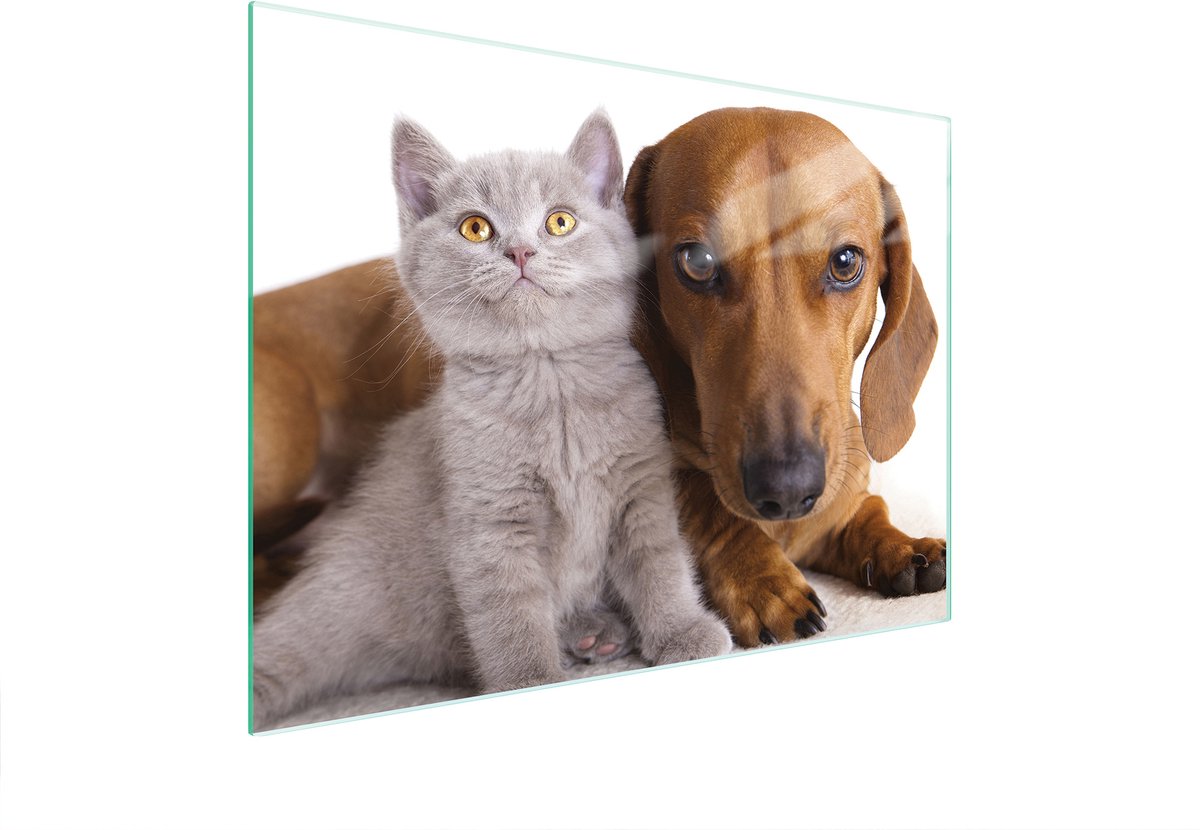 TMK ArtDeko - Snijplank van Gehard Glas - 40x30 cm - Antislip - Antibacterieel