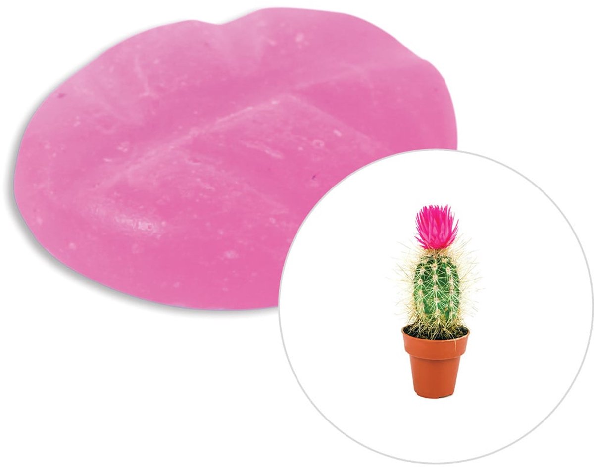 Scentchips Cactusbloem - Geurblokjes - Huisparfum - Geurchips - Waxmelts - Geschikt voor Geurbrander en Waxbrander - S - 8 Stuks Paars