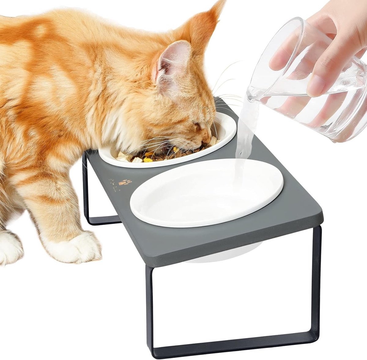 Cat Feeding Station - Raised Cat Feeder - Ergonomisch - Keramische Voerbak - Houten Kattenbak