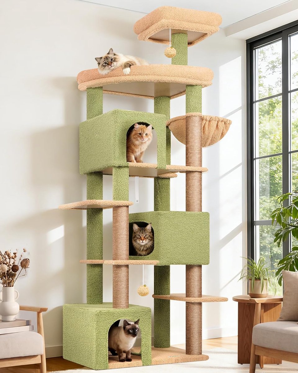 Kattenboom Cactus - Krabpaal XXL - Klimmen en spelen - Drie grote kattenhuizen - 203 cm hoog - Groen