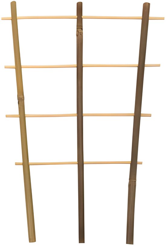 Driesprong collection - Bamboeplantrekje h35b18 cm s2st — afbeelding 2