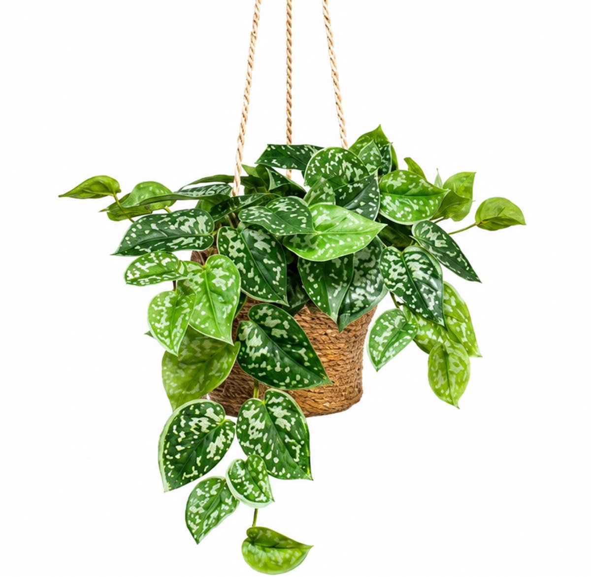 HTT Decorations Kunstplant Scindapsis in hangmand naturel L110cm
