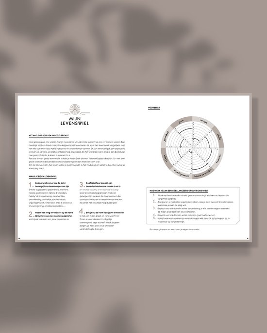 Oudroze academische SuccesPlanner '22-'23 - weekplanner & agenda - combineert je privé en school in één planner - Oudroze - augustus '22 - juli '23