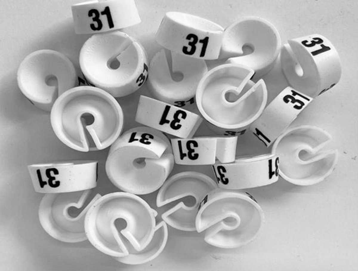 Bleijenberg Maatdopje maat 31 wit - Maataanduiding voor kledinghangers per 25 stuks - Maatringetje Ø 20 mm - Kledinghangers - Kleerhanger - Kapstok - Mark-Brics - wisersizer