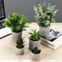 Vier kunstplanten met potten, waaronder een groene struik, een eucalyptus plant en twee succulente planten.