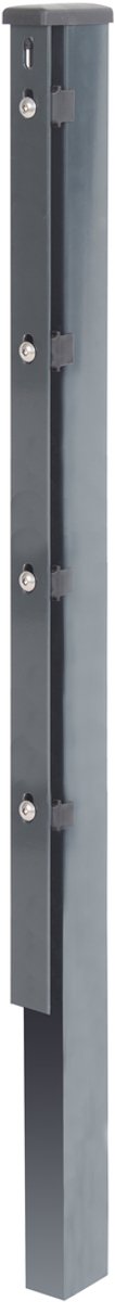 Alberts 974718 Hekpalen met platijzer, thermisch verzinkt, antraciet, lengte 3000 mm, 60 x 40 mm