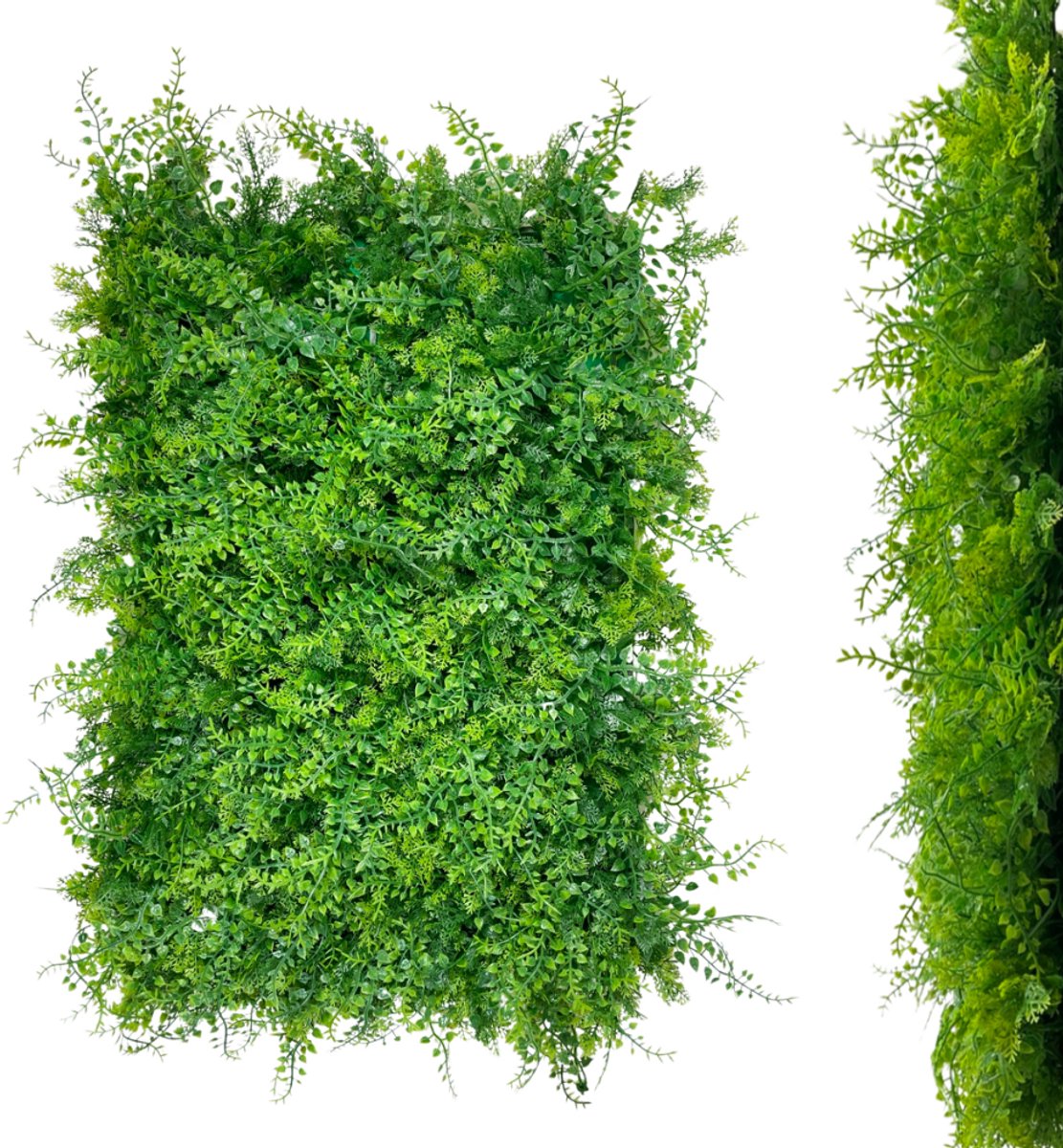 Inspiruj - Filodendron en Thuja Groene Muur - Sierpaneel