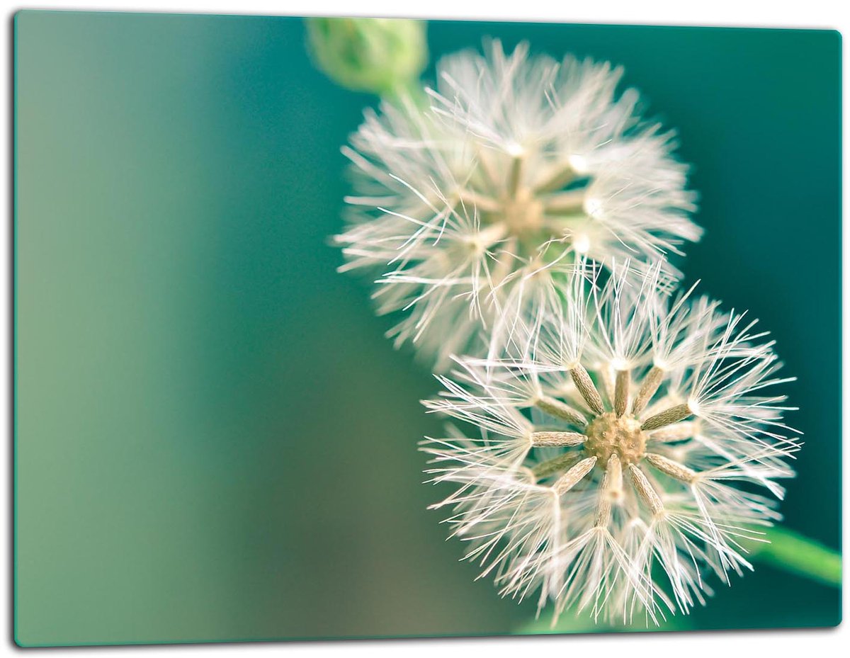 TMK ArtDeko - Snijplank - Glas - 52x40cm - Motief: Dandelion