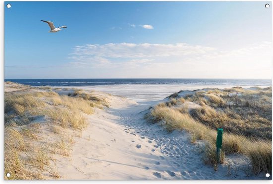 Affiche jardin - Toile Posters de jardin extérieur - Dune - Mouette - Plage - Mer - Soleil - 120x80 cm - Jardin