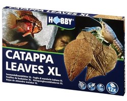 Hobby Nano catappa bladeren | 12 stuks | normaal of groot formaat Groot