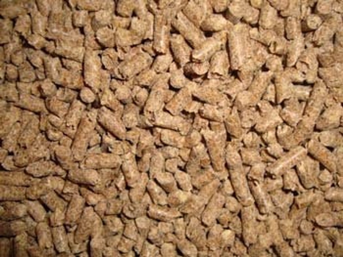 Eckhardt Paardenbrok Basis 20 kg