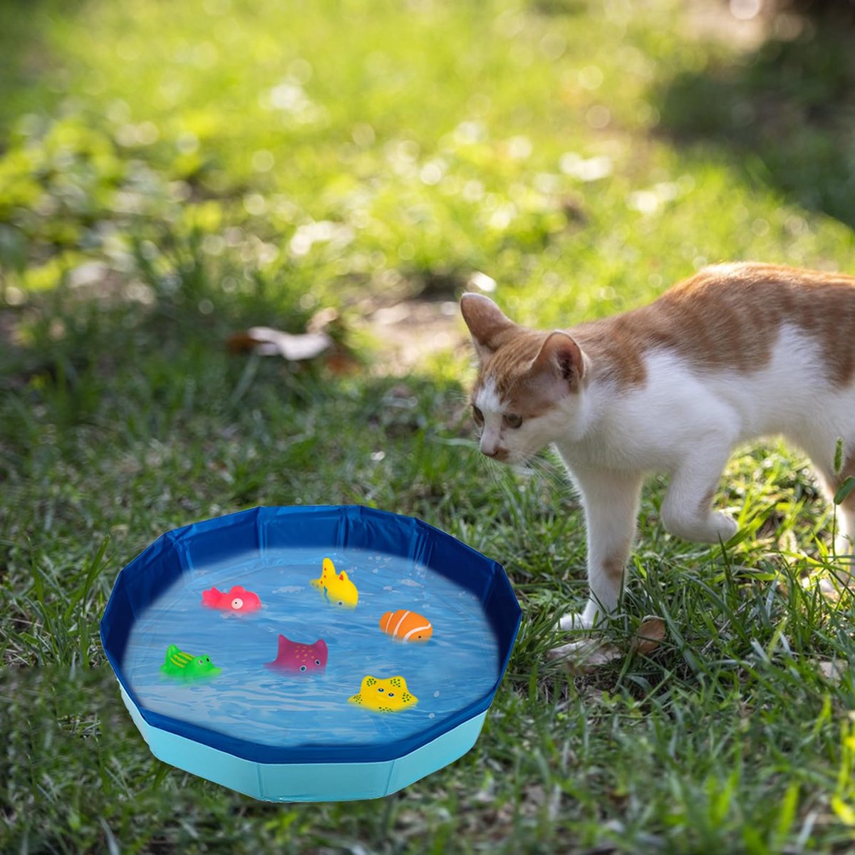 1 delige set – Opvouwbaar kattenzwembad – Minizwembad voor katten & honden – Wadingpool voor huisdieren – Blauw (30x10cm)-Speelgoed niet inbegrepen