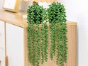 Deux fausses plantes vertes aux feuilles rondes sur le bord d'une commode.
