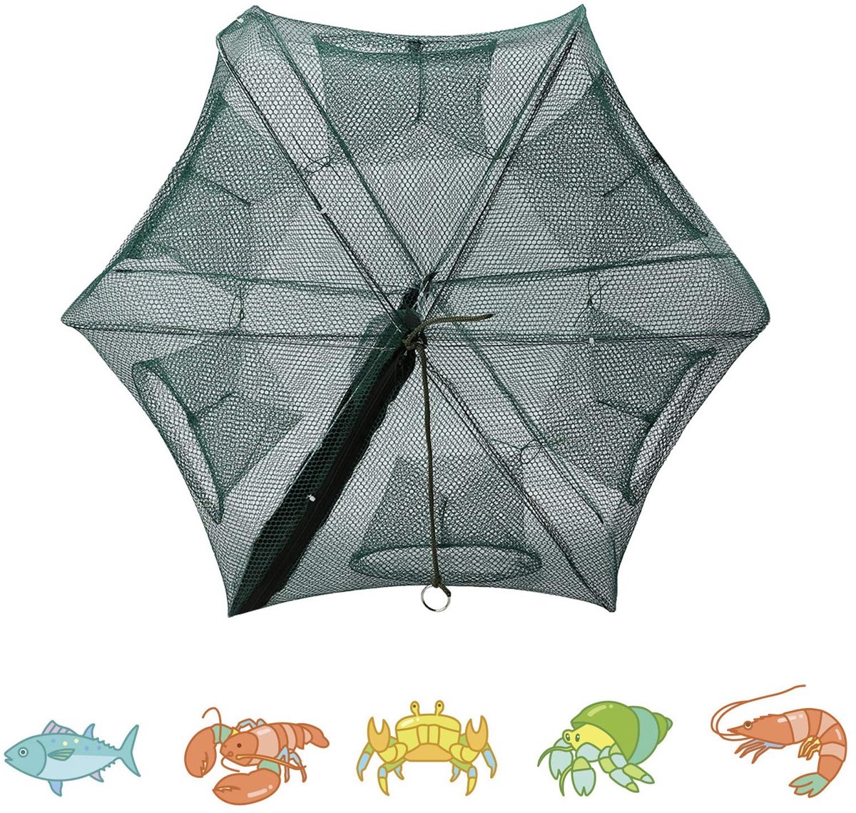 Dailygoods- Visnet Draagbaar 360° Ontwerp - Visnetval - Garnalen/Krab/Kreeft - Duurzaam Nylon - 6 Gaten - Handig in Gebruik - Vistrap