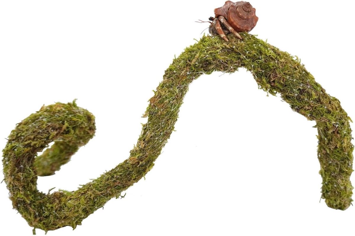 Heremietkreeft Klimtouw - Klimspeelgoed Heremiet Mosstok - Verblijf Inrichten - Natuurlijk Bosmos Materiaal - 635 cm - Groen