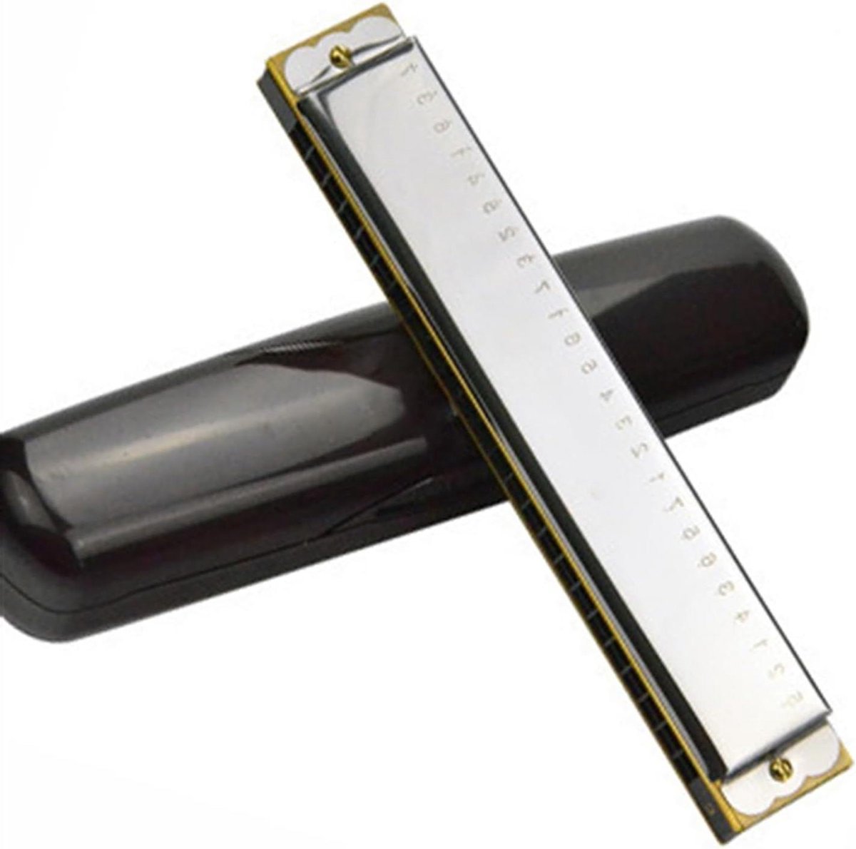 Mondharmonica Set - Diatonische Harmonica - Muziek Maken - 24 Gaten - 180mm - Zilver