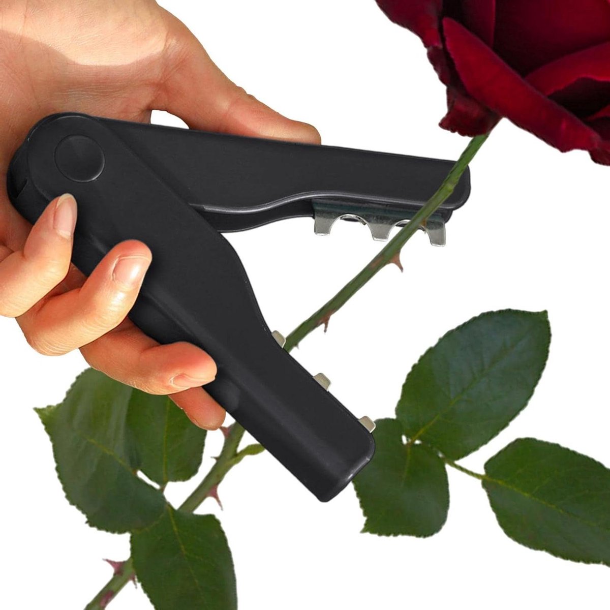 Doorn Trimmer Stripper - Rozen Tang Verwijderen - Bloemschikken Voorbereiden - Beschermt Bloemstelen - 141 x 27 x 28 mm
