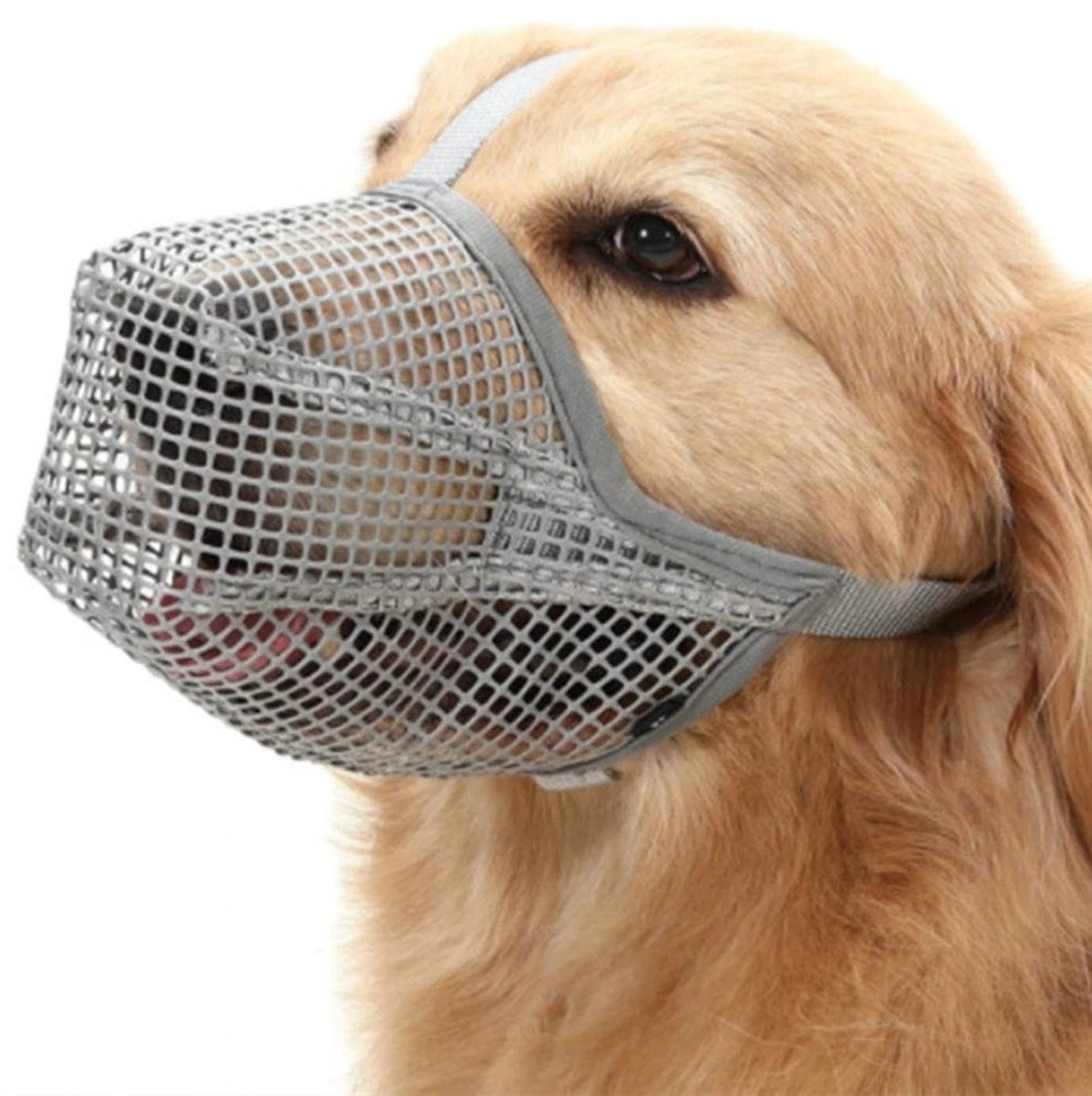 Cosensi - Verstelbare Muilkorf voor Honden van Ademend Nylon