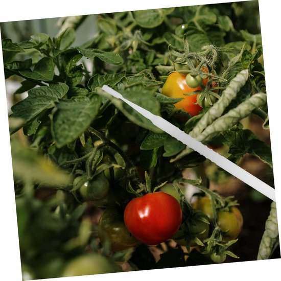 POPETPOP Handleiding Voor Planten 20-delige Set Fruit Groente Efficiëntie Tuinieren Accessoire van POPETPOP — afbeelding 2