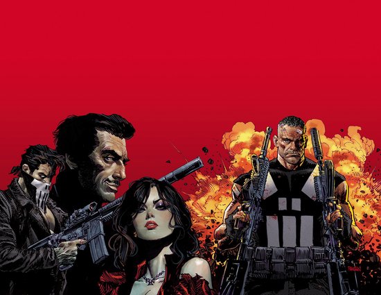 Marvel Knights: Punisher - cover