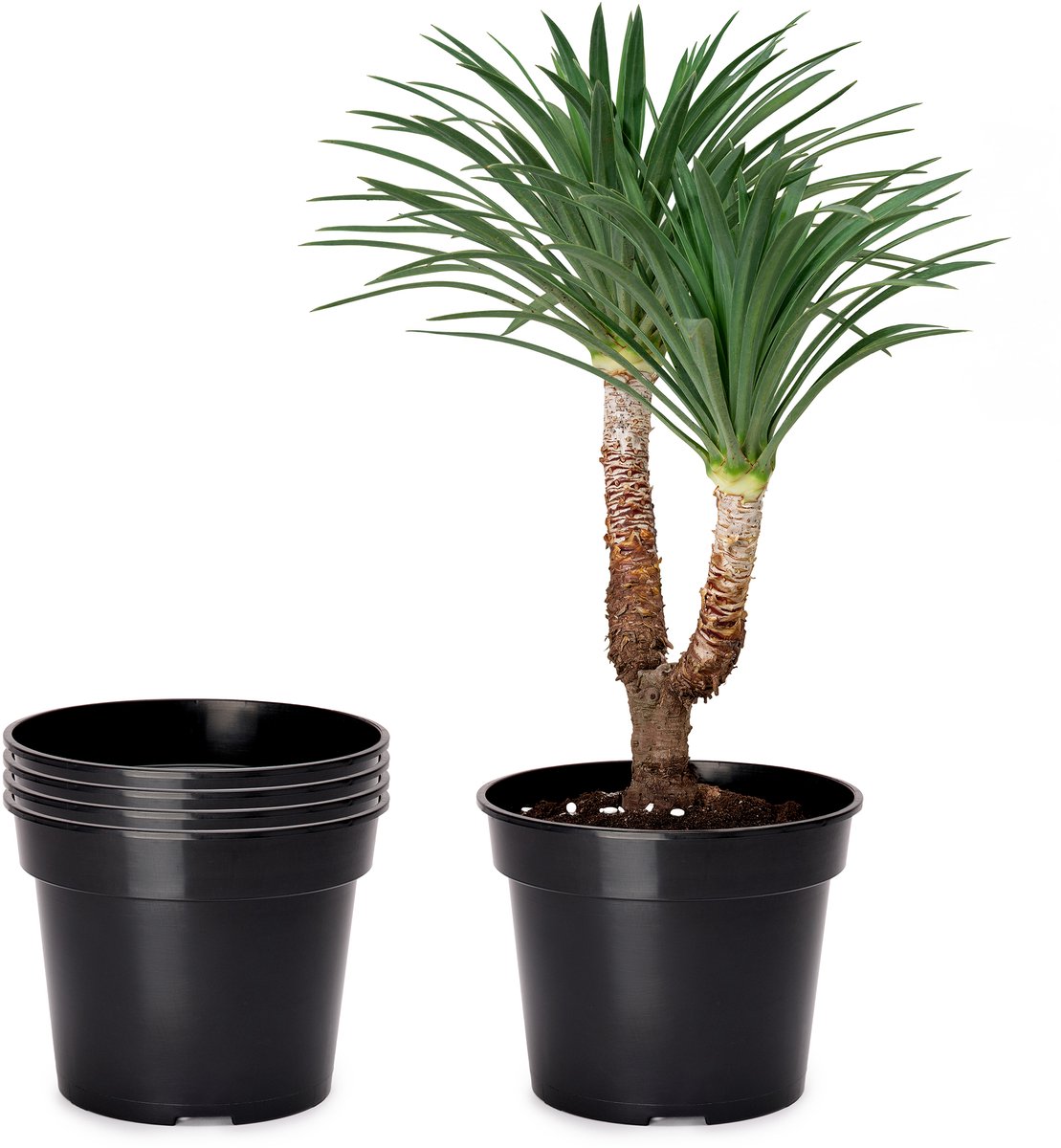 Garronda Plantenpot Bloempot - Kunststof - Rond - Plantenbak – GD-NIC-SBX90