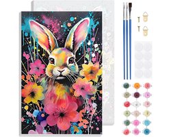 Schilderen op nummer - Knutselpakket canvas - Ontspannend creatief bezig - Inclusief lijst - 30x20 cm - Kleurrijk